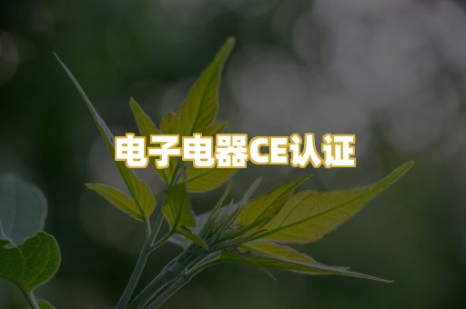 电子电器CE认证